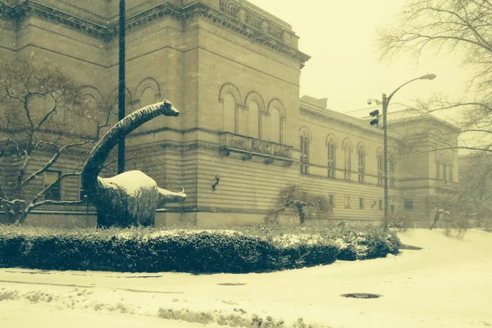 Carnegie Museum of Natural History